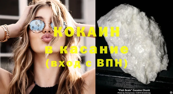 ПСИЛОЦИБИНОВЫЕ ГРИБЫ Белокуриха