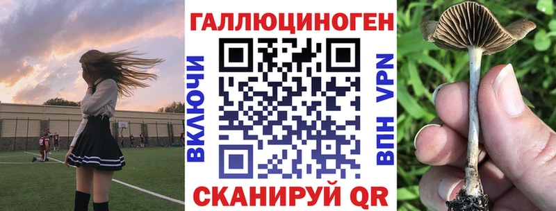 OMG онион  Белёв  Галлюциногенные грибы Magic Shrooms 